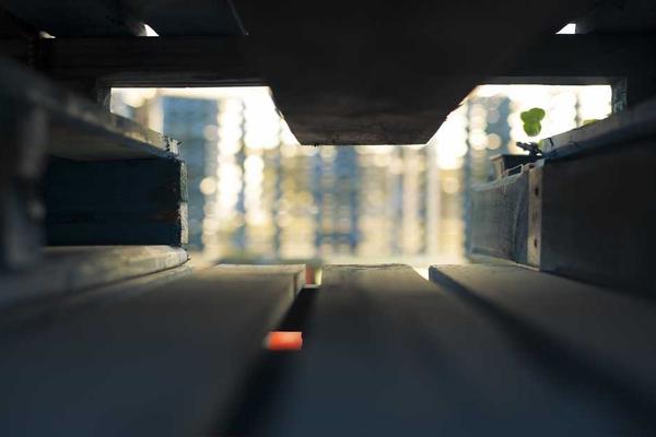 Expansion into International Markets